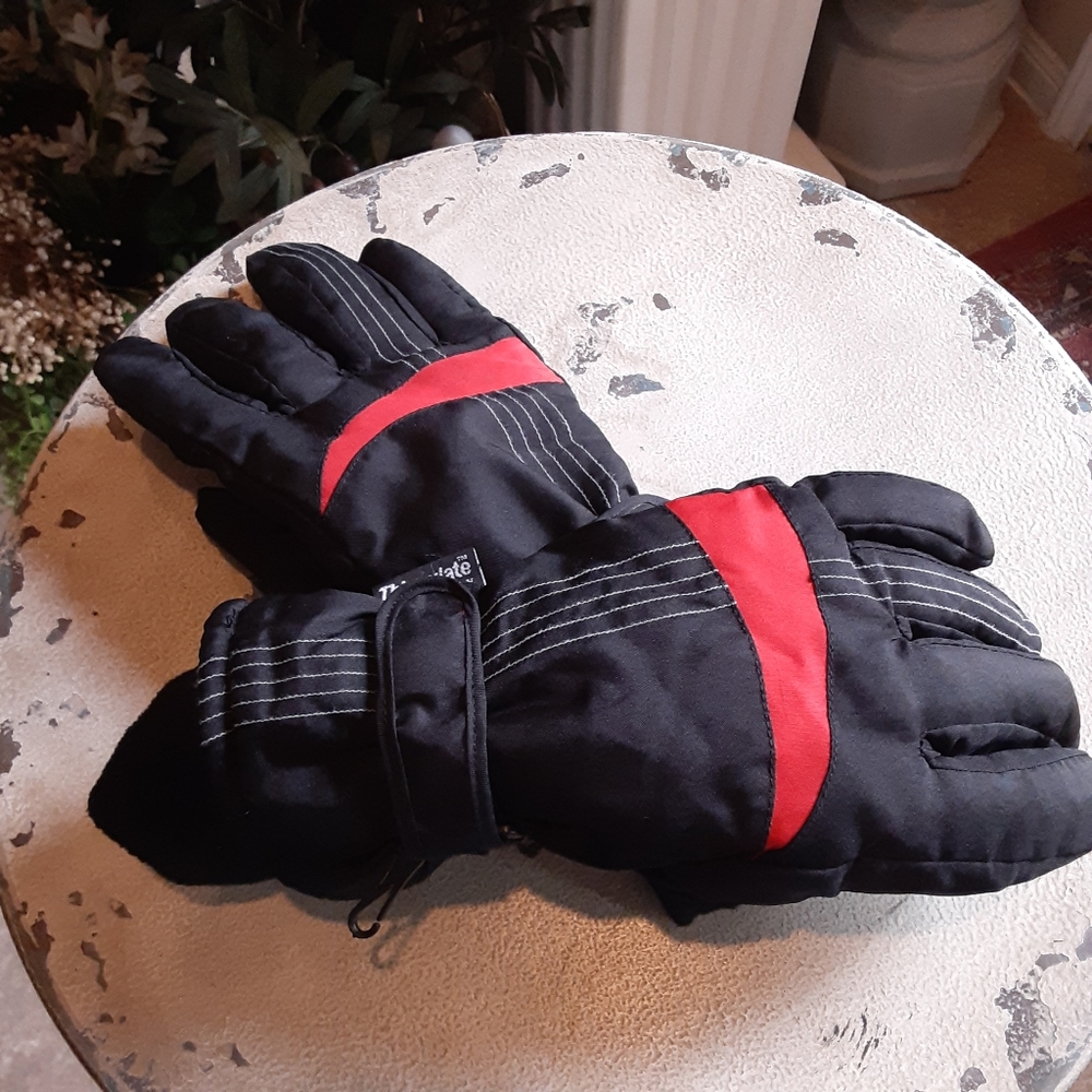 Thinsulate 40 gram, Men's M/L Polar Extreme Gloves